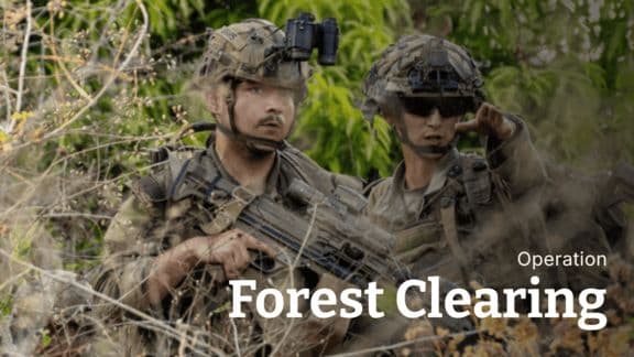 Forest Clearing